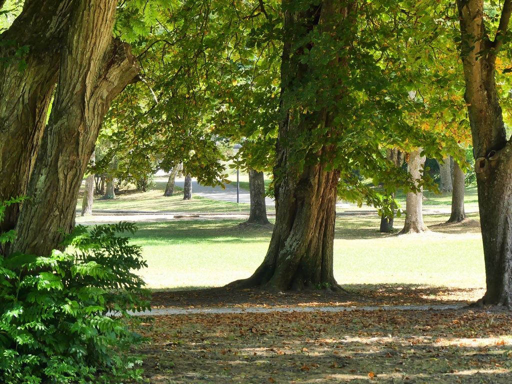 Kurpark Bad Abbach